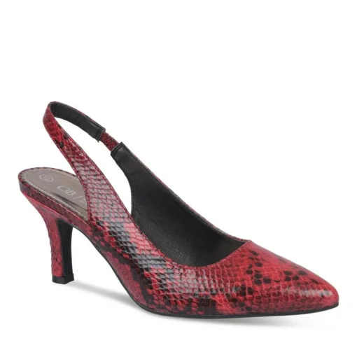 Pumps ROOD