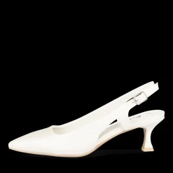 Pumps WIT