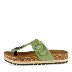 Teenslippers GROEN MERRY SCOTT
